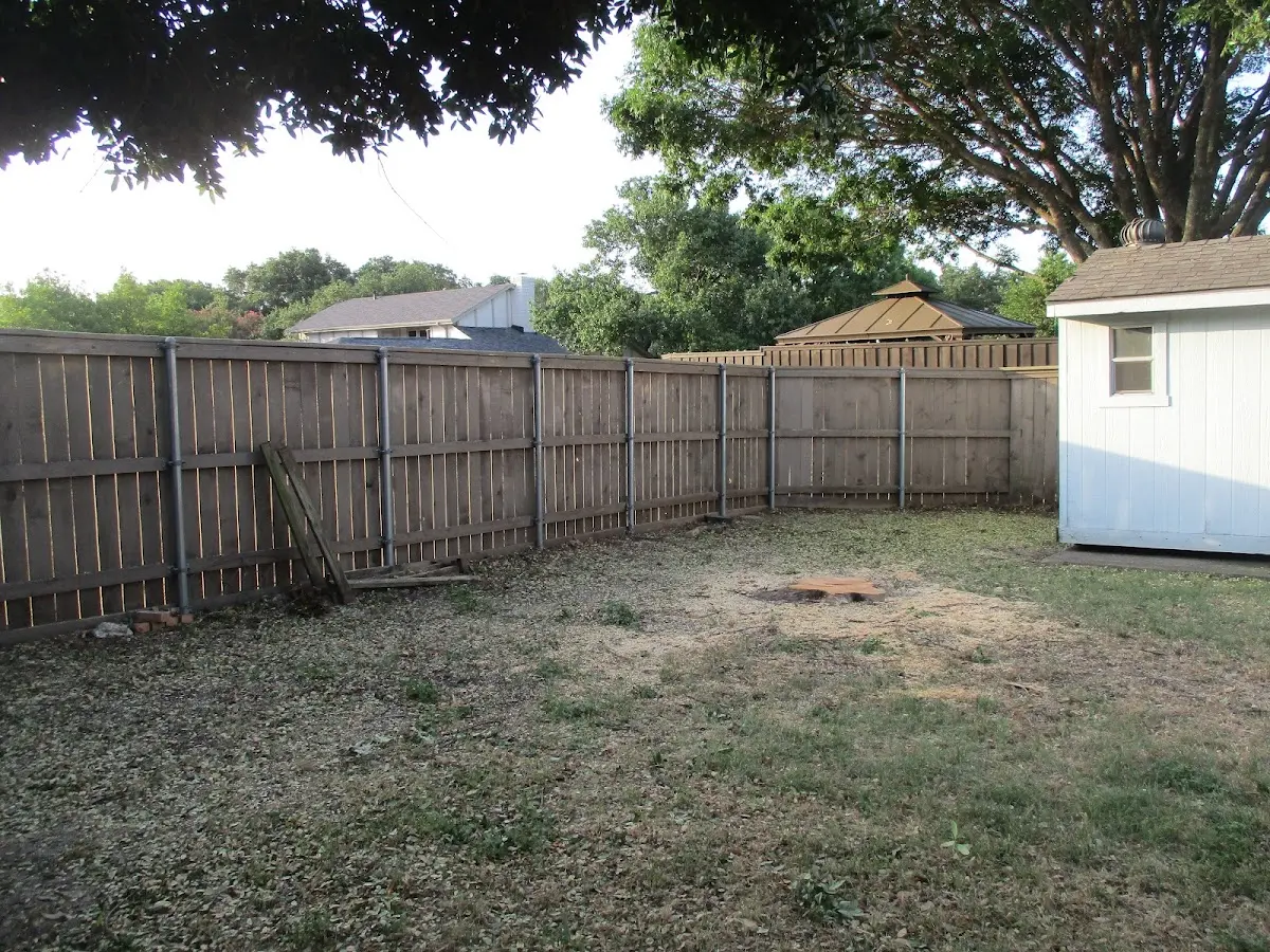Cleared yard after professional tree removal in Sachse